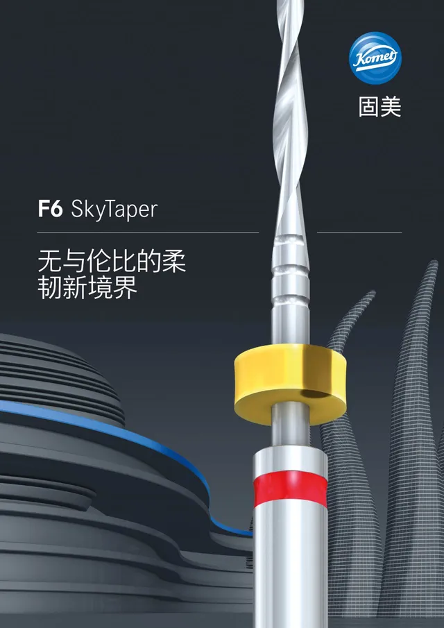 komet-f6-skytaper-brosch-re-endo-feilen-flexibel image 1
