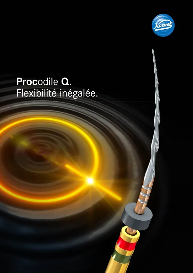 komet-procodile-q-brosch-re-endo-feilen-flexibilit-t image 1