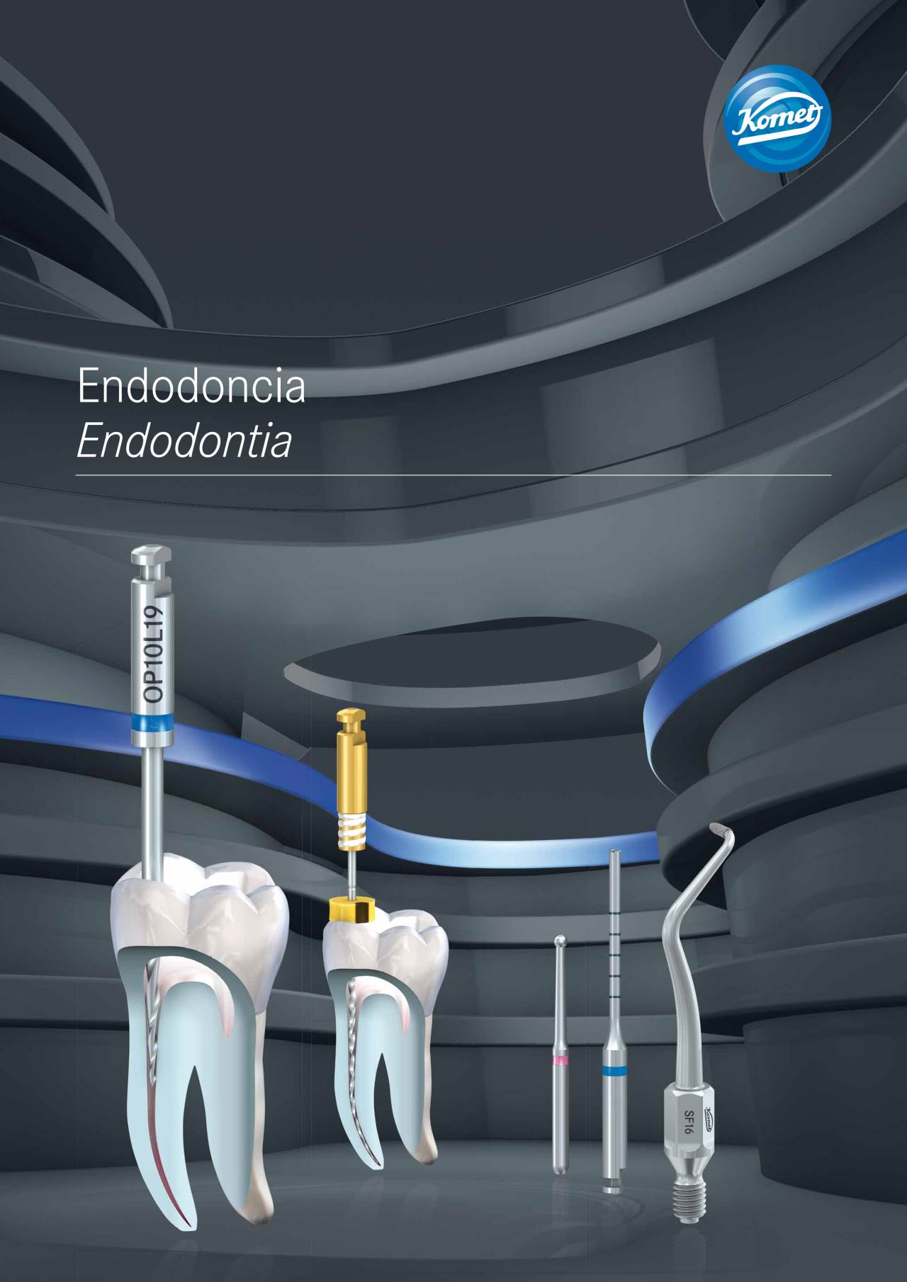 komet-dental-fq-endodoncia-endodontia-brosch-re-endodontie image 1