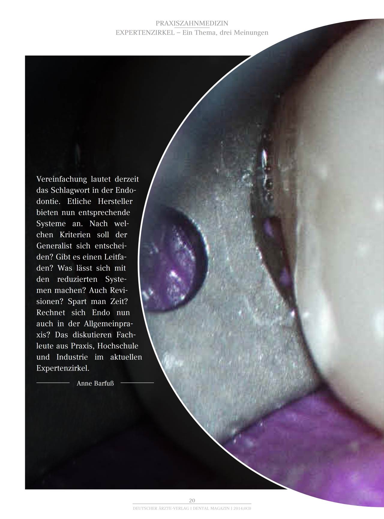 komet-dental-fq-fachbericht-endodontie-einfach image 1