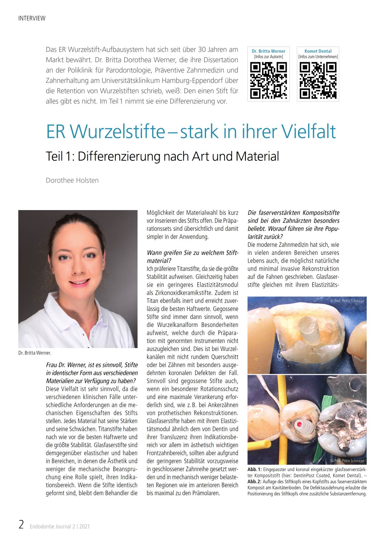 komet-er-fachbericht-wurzelstifte-vielfalt-teil-1 image 1