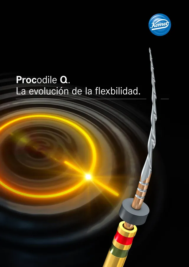 komet-dental-procodile-q-feilen-brosch-re-endo-niti image 1
