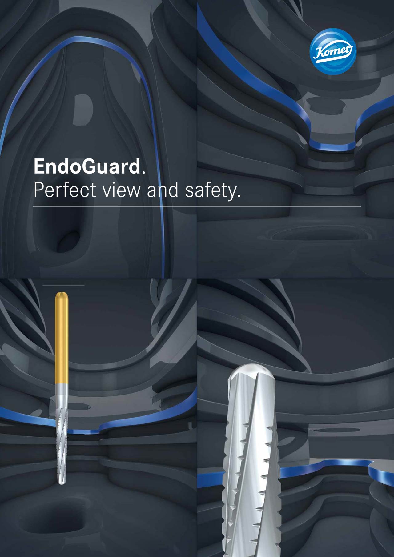 komet-dental-fq-endoguard-brosch-re-endo-sicherheit image 1
