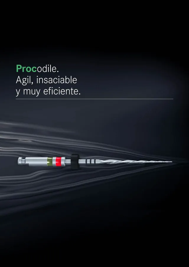 komet-dental-procodile-brosch-re-feilensystem image 1