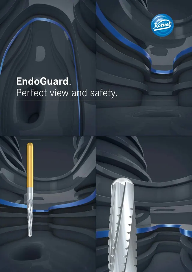 komet-dental-fq-endoguard-brosch-re-endo-sicherheit image 1