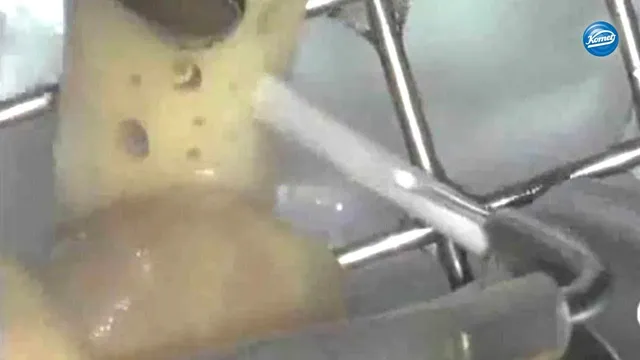 komet-diao-k157-fr-ser-video-knochenblock-perforation image 1