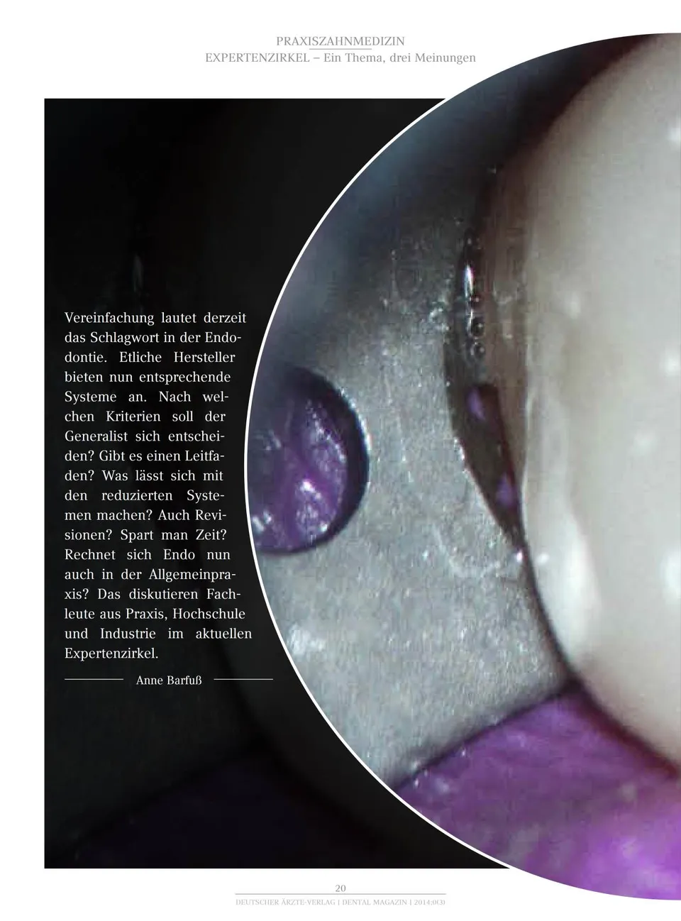 komet-dental-fq-fachbericht-endodontie-einfach image 1