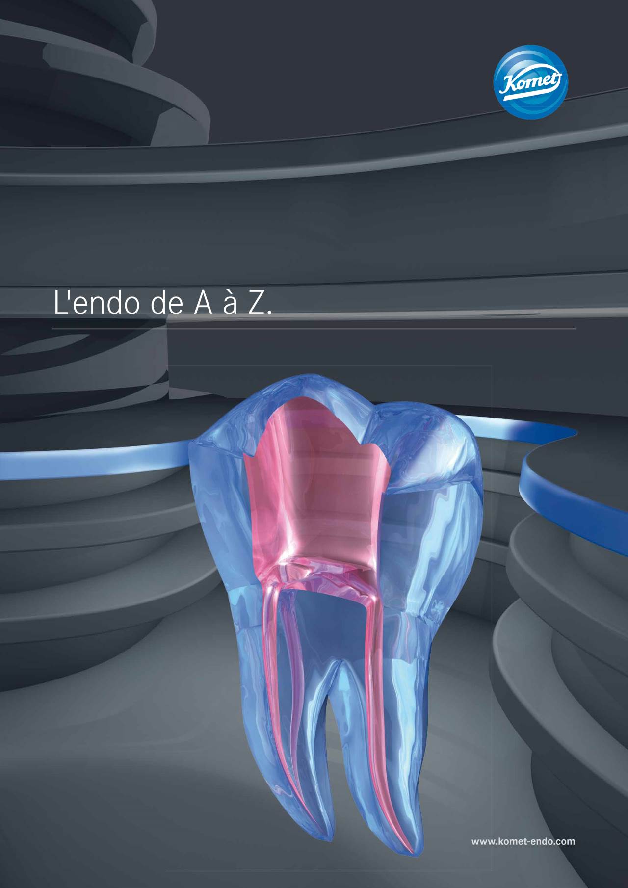 komet-dental-fq-brosch-re-endo-step-by-step image 1