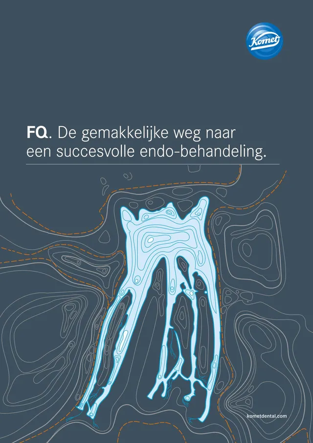 komet-dental-fq-brosch-re-sichere-endo-behandlung image 1