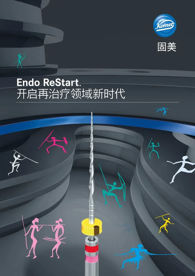 komet-fq-endo-restart-brosch-re-revision-wurzelkanal image 1