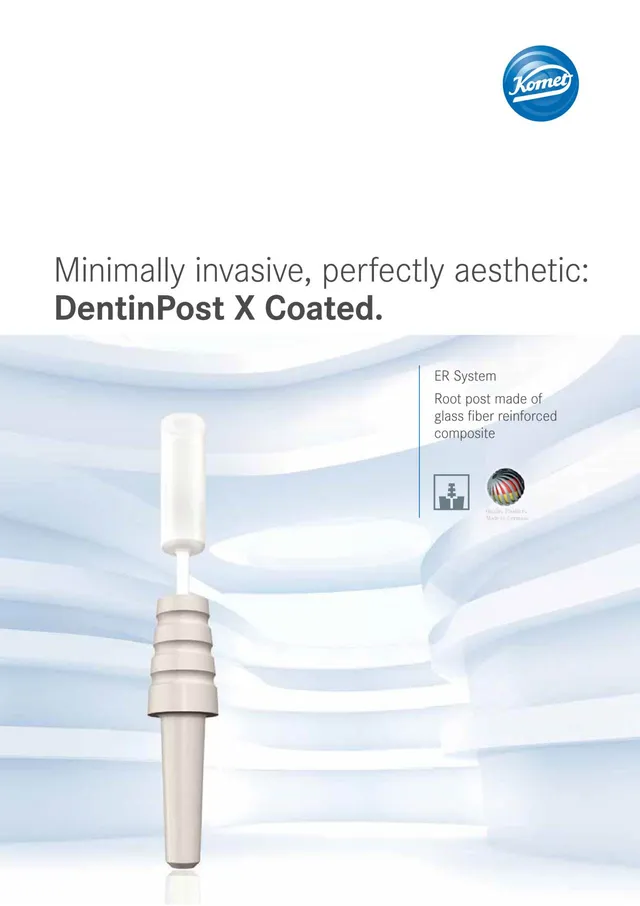 komet-dental-cerapost-brosch-re-dentinpost-wurzelstift image 1